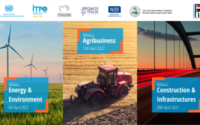 Iraq: nuovo ciclo di webinar di UNIDO ITPO Italy su energia, agribusiness e infrastrutture