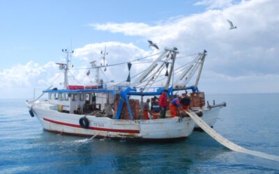 Algeria: l’industria ittica continua a crescere