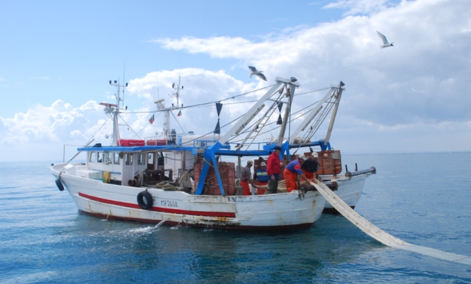 algeria pesca industria ittica
